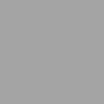 <b>Painted "Lacobel" RAL 9006.</b><br>Thickness - 4 mm. Grey</br>